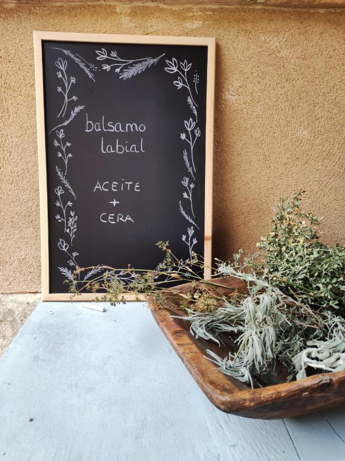 Guara Viva Abiego Apartman Kültér fotó